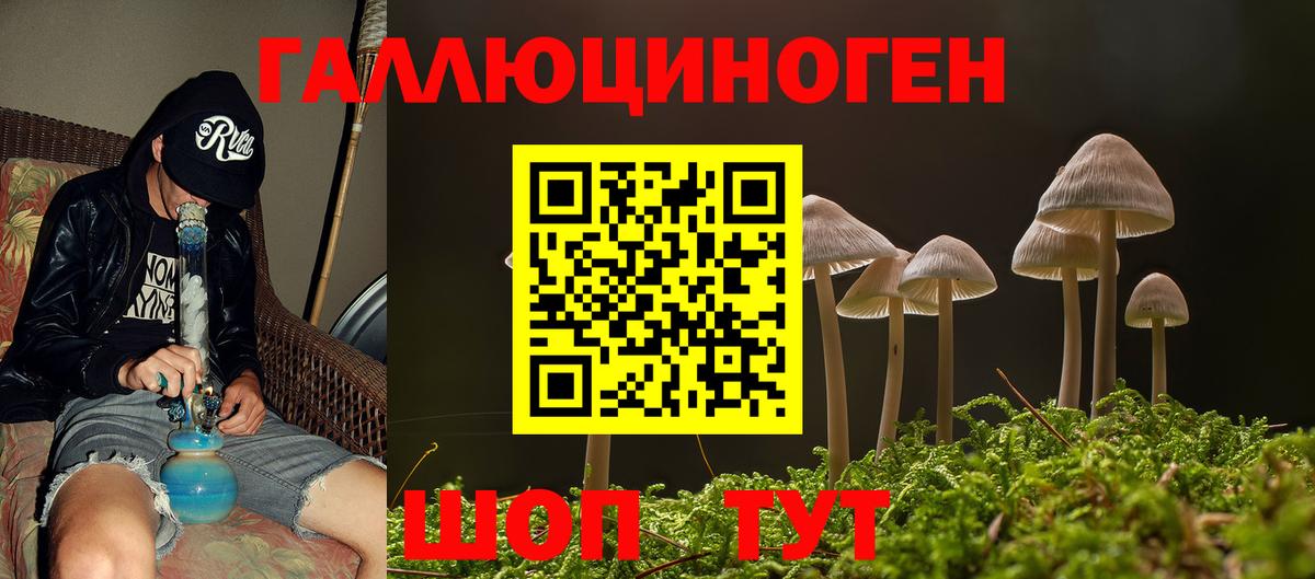Галлюциногенные грибы Psilocybine cubensis Красноармейск